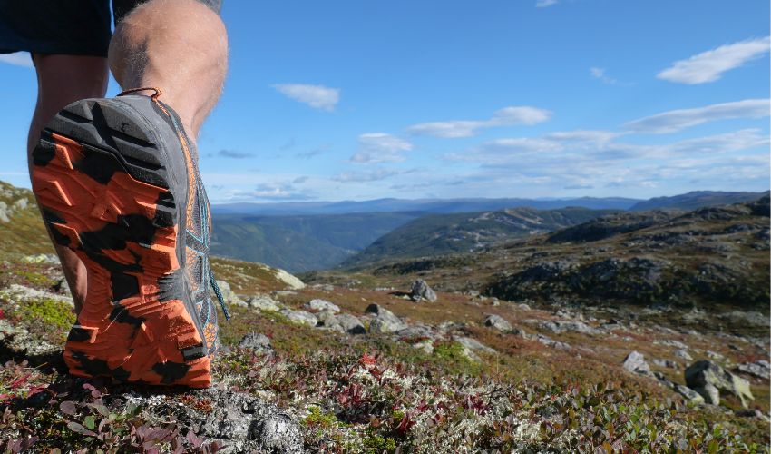 Power Camp z BeeActive.pl